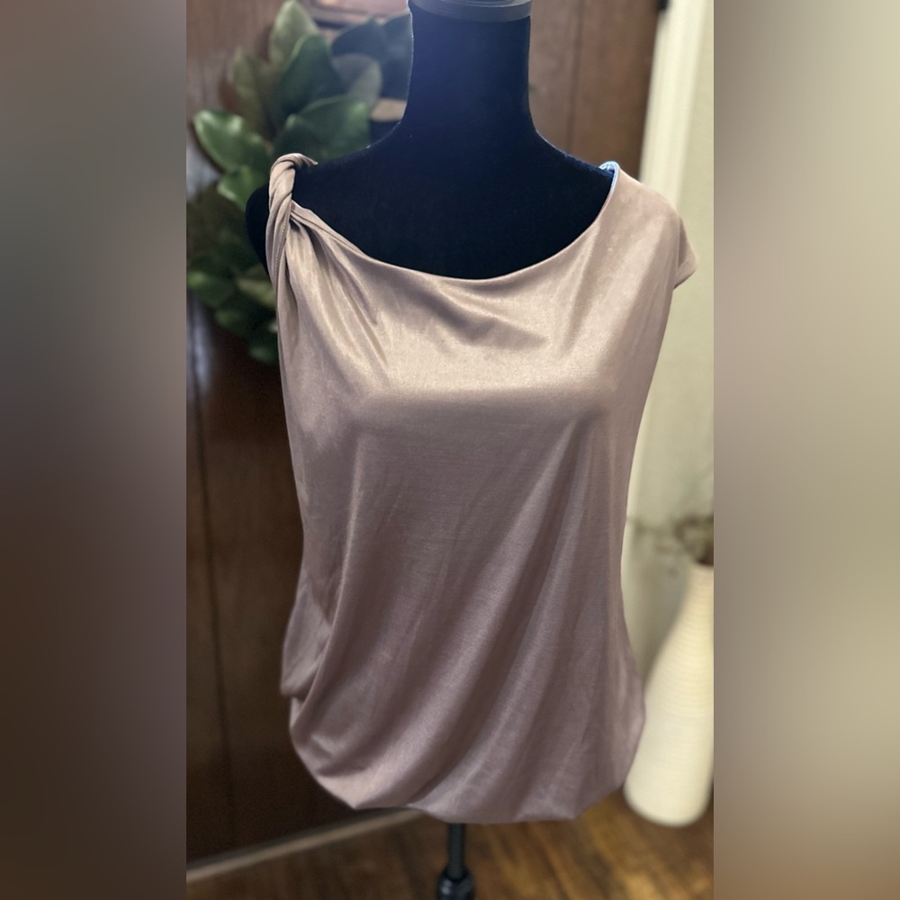 Shimmery Blush Blouse (Small)
